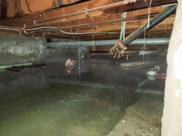 Best Water damage restoration near me  in Hudson, NC