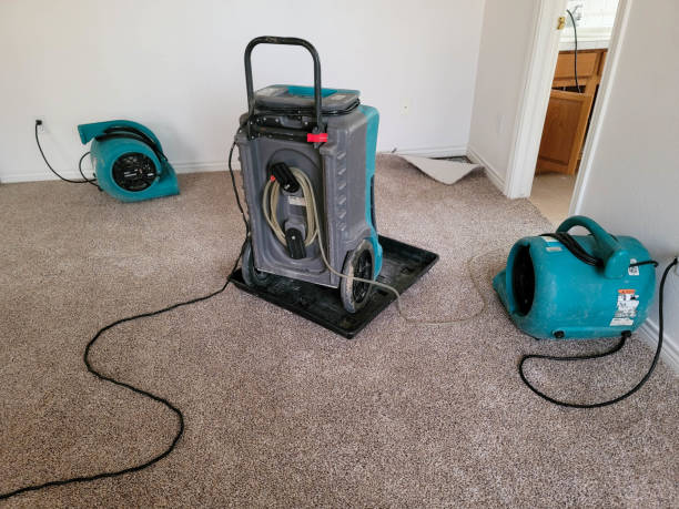 Best Professional water damage repair  in Hudson, NC