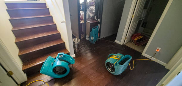 Best Water damage cleanup near me  in Hudson, NC