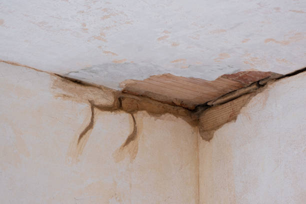 Best Local water damage restoration  in Hudson, NC