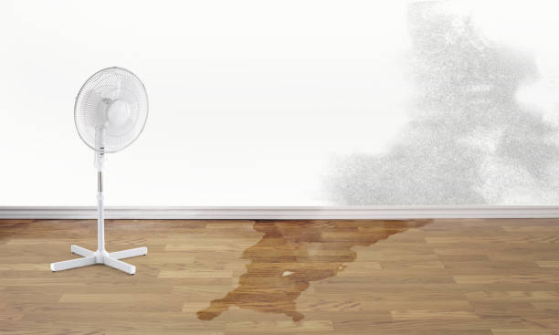 Carpet water damage restoration in NC