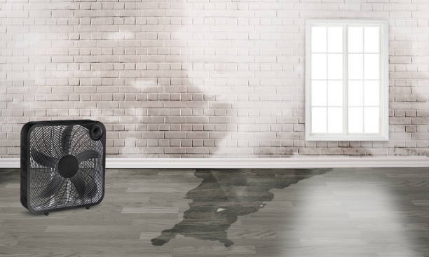 Best Sewage cleanup and water damage restoration  in Hudson, NC