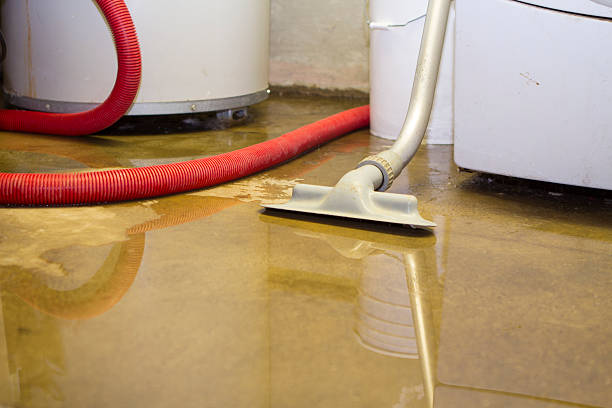 Best Basement water damage restoration  in Hudson, NC
