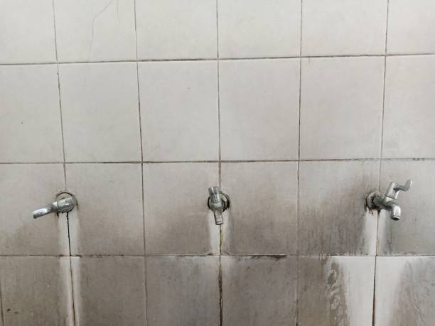Best Flood restoration services  in Hudson, NC