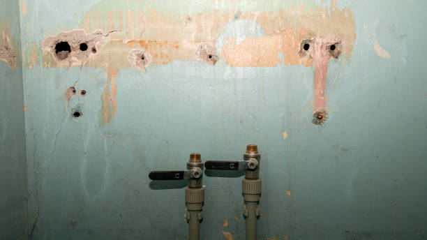 Best Ceiling water damage repair  in Hudson, NC